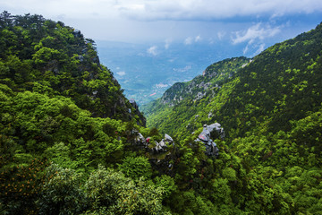 森林远山