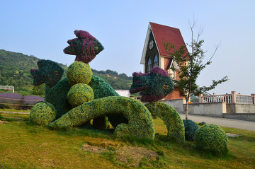 植物景观造型