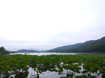 西湖十景