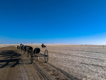 冬季草原牛车蒙古族