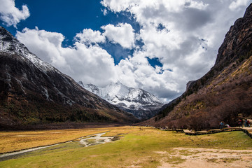 雪域高原