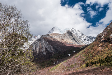 雪域高原