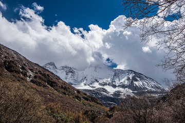 雪域高原