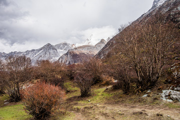 雪域高原