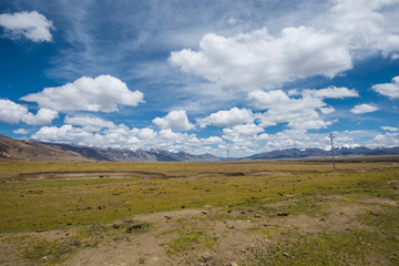 高原牧场