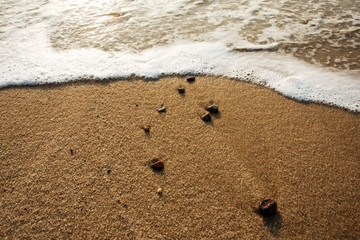 沙滩海浪素材