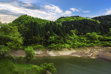 森林风景