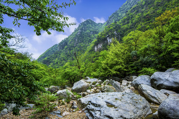 山谷风景