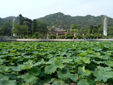 南普陀寺