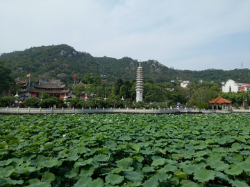 南普陀寺