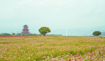 丽水花海应星楼