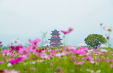 丽水花海应星楼