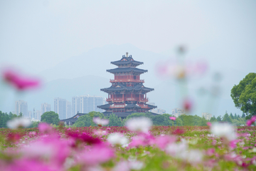 丽水花海应星楼