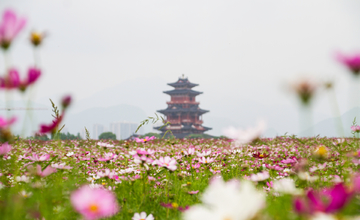 丽水花海应星楼