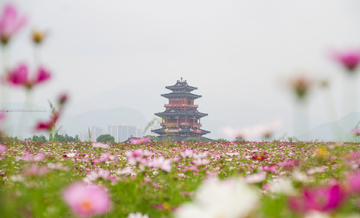 丽水花海应星楼