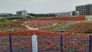 工厂里面的花园