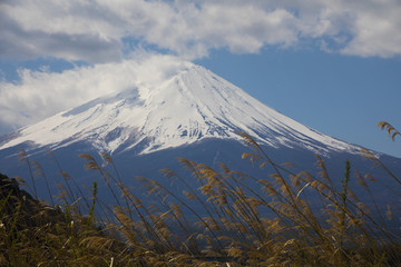 富士山风景