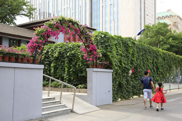 花门 爬山虎 中央音乐学院