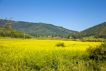 承德 围场 田园风光