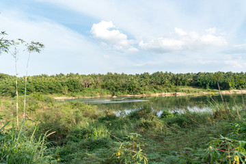 热带河流