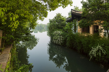 江南水乡 河边花开