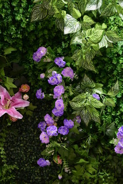 植物鲜花背景墙