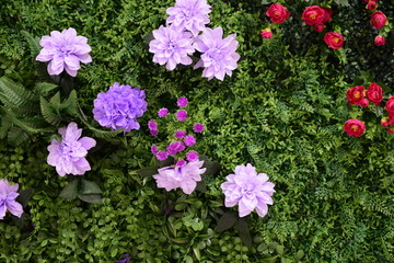 植物鲜花背景墙