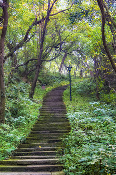 山间古道