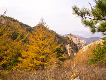 山东 青岛 金秋的崂山风光