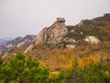 山东 青岛 金秋的崂山风光