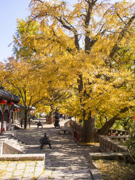 山东 青岛 崂山 华楼宫