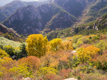 山东 青岛 崂山 华楼宫