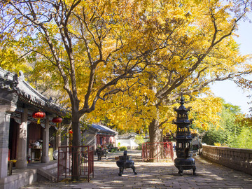 山东 青岛 崂山 华楼宫