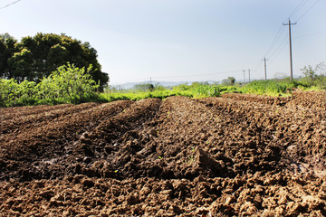 农村田地