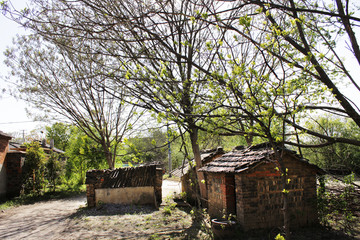 农村小屋