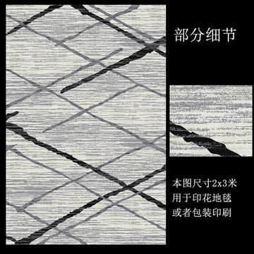 現(xiàn)代北歐幾何印花地毯客廳地毯
