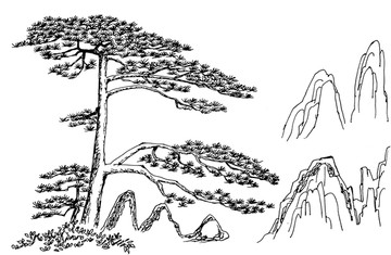 黃松
