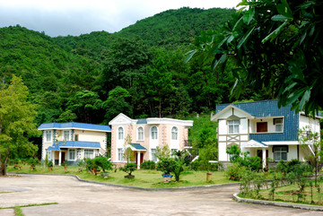 十万大山森林公园