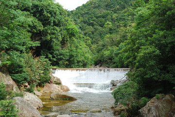 十万大山森林公园