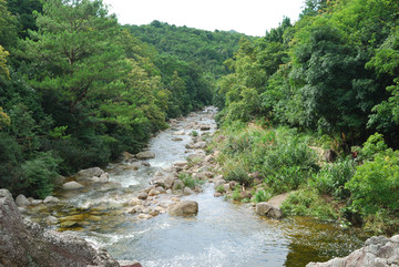 十万大山森林公园