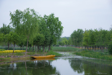 北龙湖湿地公园