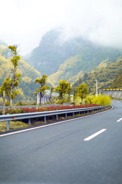 公路 青山