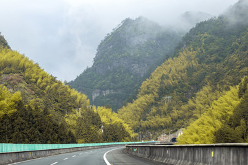 公路 青山