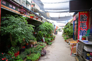 花卉市场