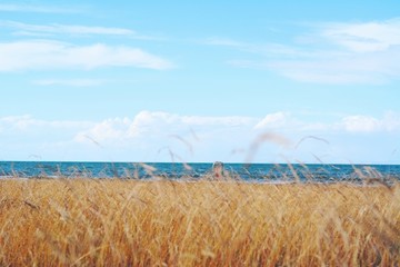 青海湖