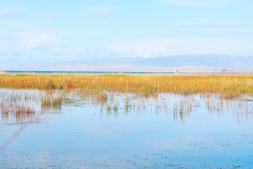 青海湖