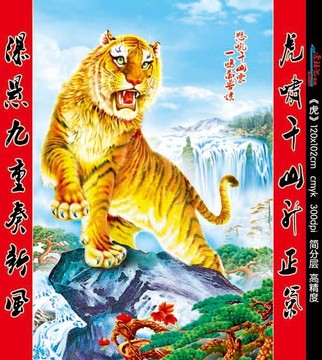 虎 老虎 老虎圖