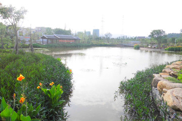 湖岸美景