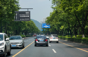 天目山路 车流 拥挤的车流 杭