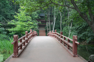 斑驳红木桥